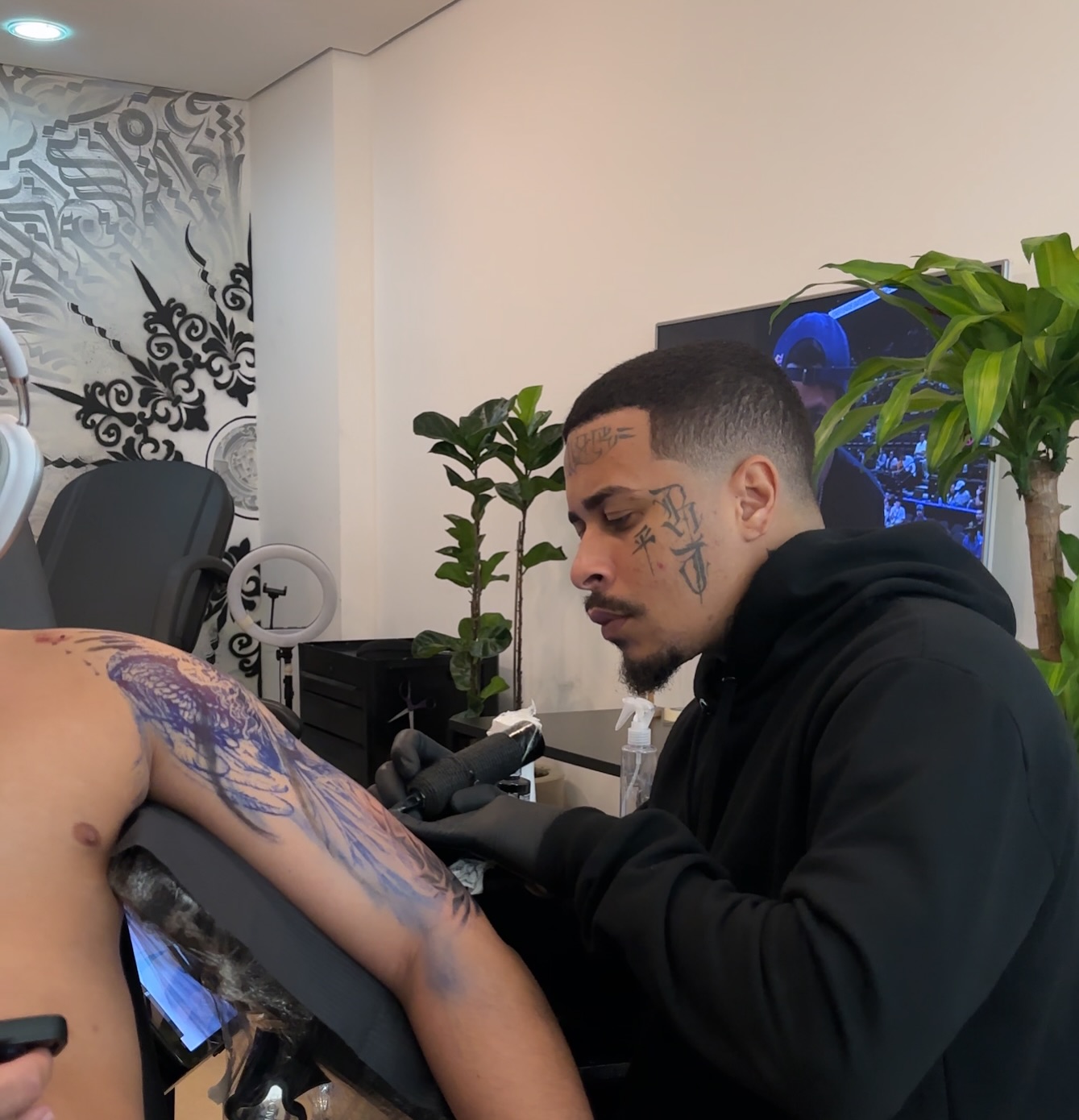 Picture of the author